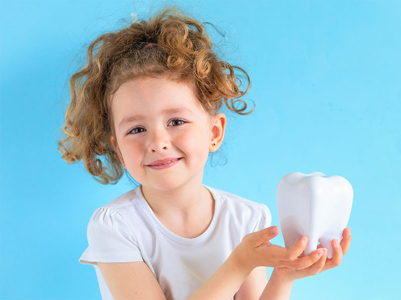 Bambina con in mano un dente giocattolo